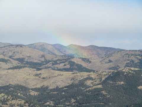 Header of lovelyladybug_x