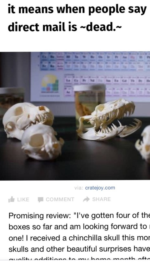 Header of miakuffcake