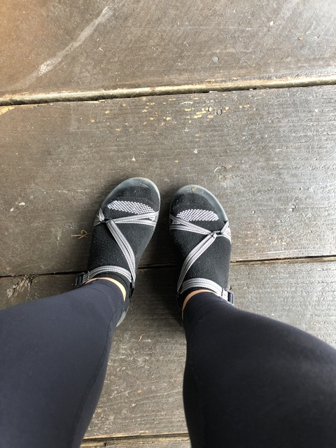 Header of michiganer-feet