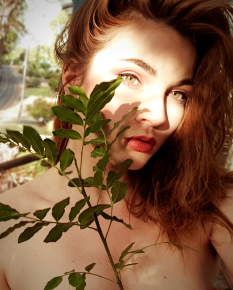 Header of miksart