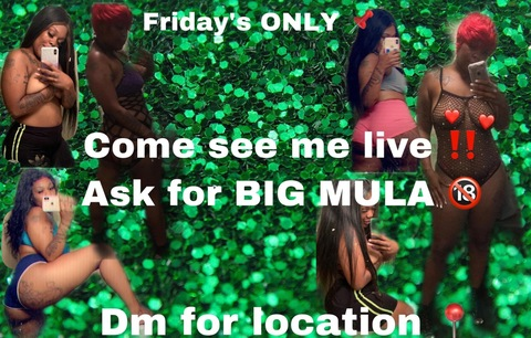 Header of mmmula