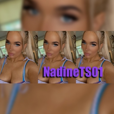 Header of nadinets01