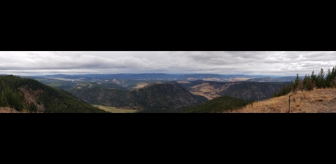 Header of niceguy1516