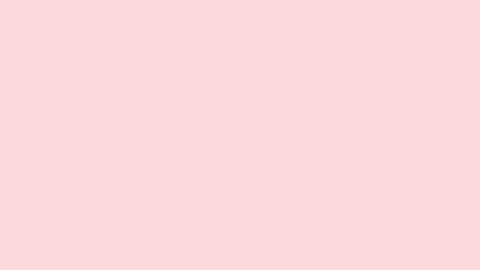 Header of nkddaisy
