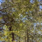 Onlyfans free peetain 

 profile picture