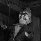 phelps77 (Donnie) OnlyFans Leaked Content 

 profile picture