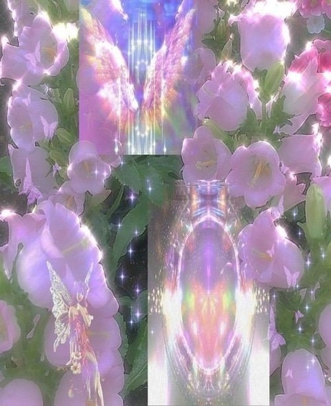 Header of pixiiexoxo