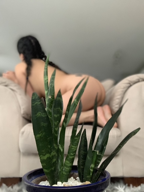 Header of plantmommy