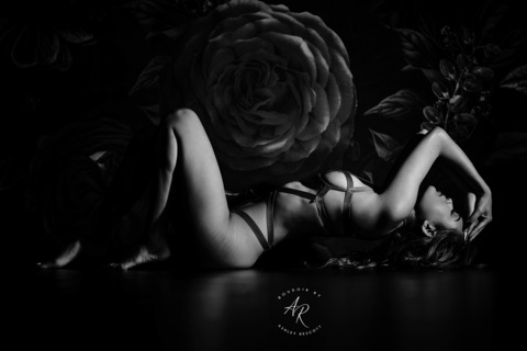 Header of platinum.mia