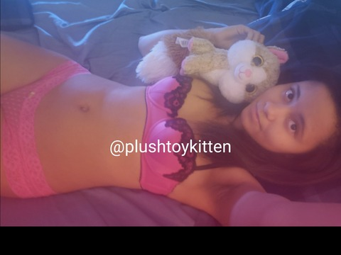 Header of plushtoykitten