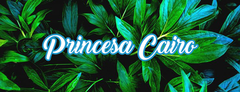 Header of princesacairofree