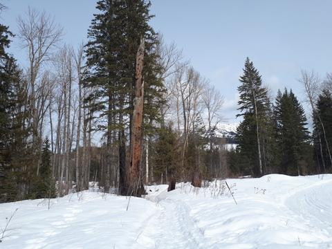 Header of princessdicklicker