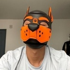 View pup_rawuu (Pup Rawuu) OnlyFans 49 Photos and 32 Videos for free 

 profile picture