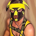 pupevans (Pup Evans) OnlyFans content 

 profile picture