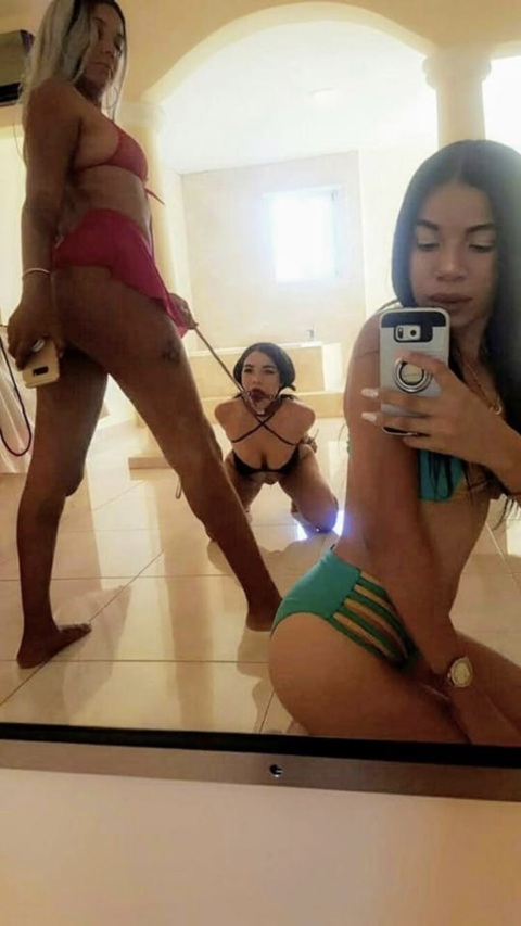 Header of realbayrose