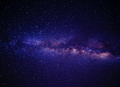 Header of saltykitty13
