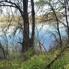 Onlyfans free samirae_22 

 profile picture