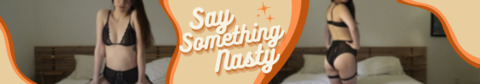 Header of saysomethingnasty