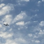 View seaofmari OnlyFans content for free 

 profile picture