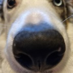 Onlyfans leaks second__breakfast 

 profile picture