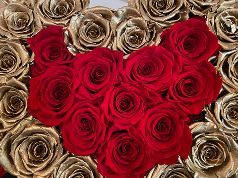 Header of selenaaasasmr