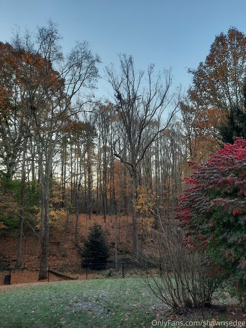 Header of shawnsedged