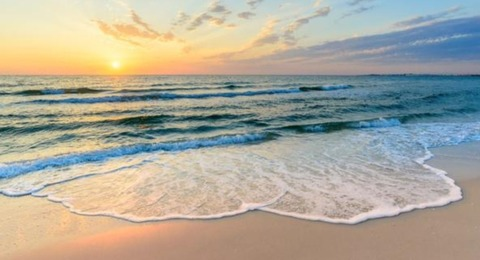 Header of soysara2022