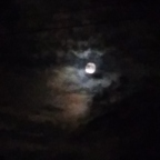 Onlyfans free content spicyfingers 

 profile picture