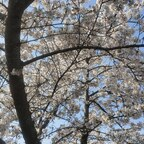 Onlyfans leaks spritedaddy69 

 profile picture