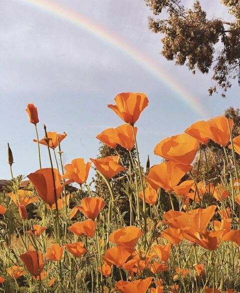 Header of spyingonmila