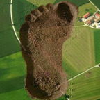 studioakira OnlyFans Leaks 

 profile picture