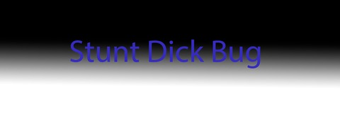 Header of stuntdickbug