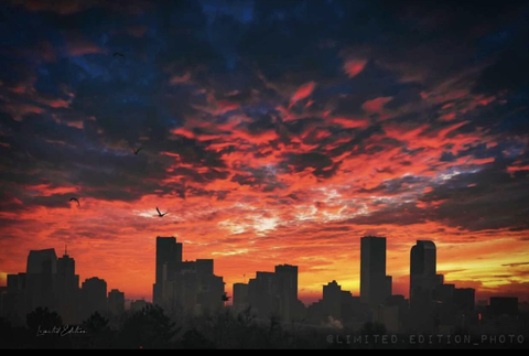Header of subikidd5555