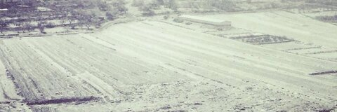 Header of tazsbeih