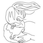 thatdirtyduo OnlyFans Leaked 

 profile picture