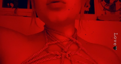 Header of thedutchess222