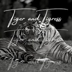 Download tigerandtigress OnlyFans content free 

 profile picture