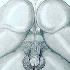 Free access to tittiman (Always nutting 🍆💦) Leaks OnlyFans 

 profile picture