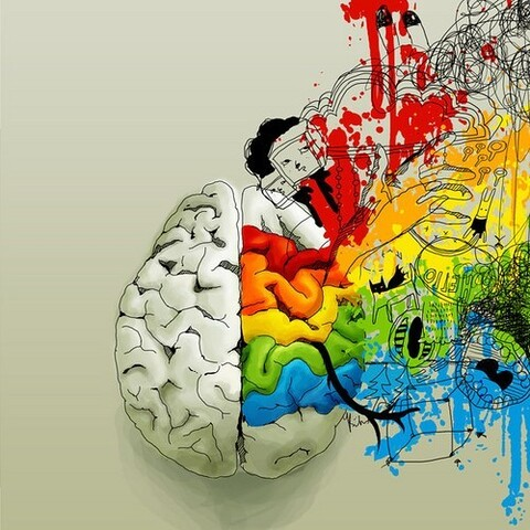 Header of tony-phd