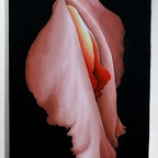 Hot @trouble_time leaked Onlyfans photos for free 

 profile picture