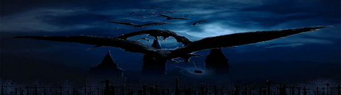 Header of u142295339