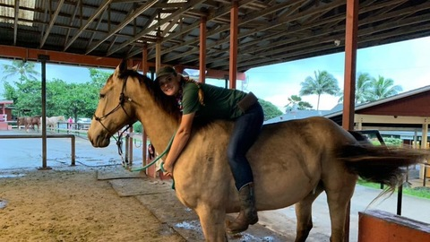 Header of u196335880