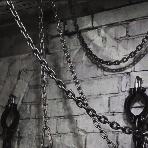 Header of u217336839