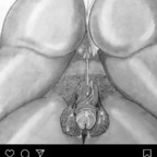 View u32959469 (Zayy2Nastyy) OnlyFans 49 Photos and 32 Videos gallery 

 profile picture