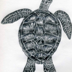 u62758509 OnlyFans Leaks 

 profile picture