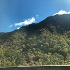 View v3rych3rryb0mb OnlyFans videos and photos for free 

 profile picture