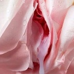 warrior19rn OnlyFans Leak 

 profile picture