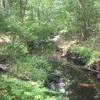 Trending @wellhungblack123 leak Onlyfans photos for free 

 profile picture