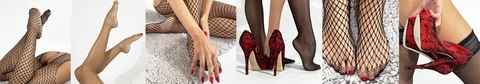 Header of wildestfeet