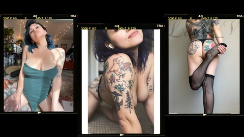 Header of your.lady.v
